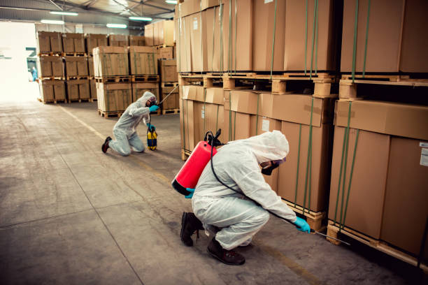 Trusted Bethpage, NY Pest Control Experts