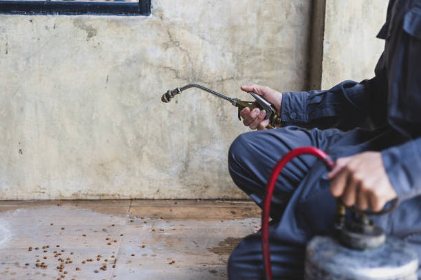 Best Affordable Pest Control Services  in Bethpage, NY